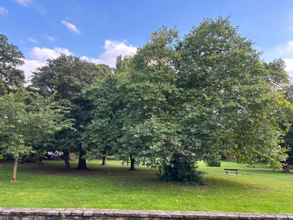 Park View Is A Beautiful Whole Entire House Close To Town Centre, Sleeps 8 In 4 Rooms, 2 Doubles And 4 Single Beds With 2 Shower Rooms, Available For Holidays, Insurance Stays, Trades People, Contractors, Pets Welcome Wisbech Buitenkant foto