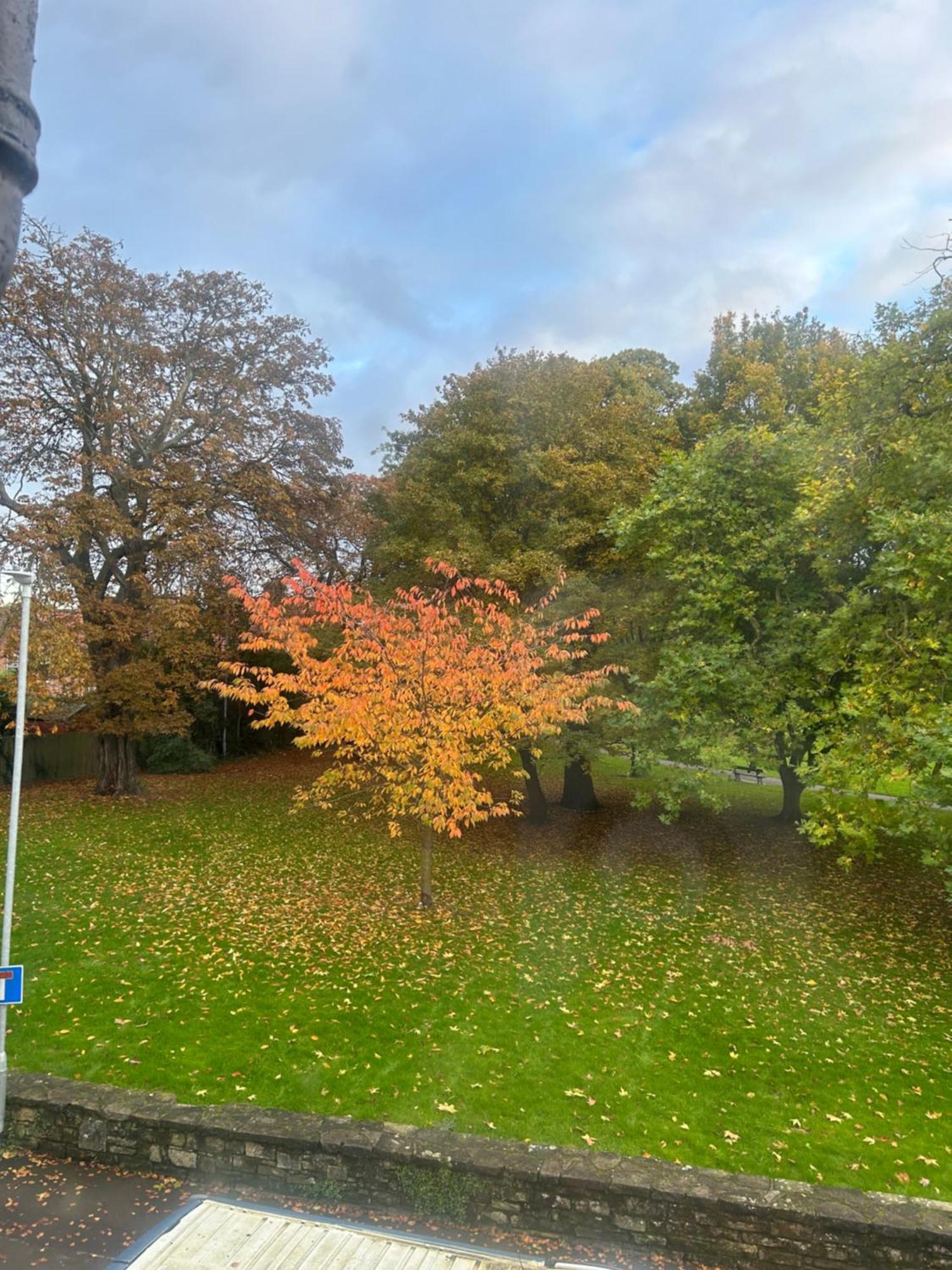 Park View Is A Beautiful Whole Entire House Close To Town Centre, Sleeps 8 In 4 Rooms, 2 Doubles And 4 Single Beds With 2 Shower Rooms, Available For Holidays, Insurance Stays, Trades People, Contractors, Pets Welcome Wisbech Buitenkant foto